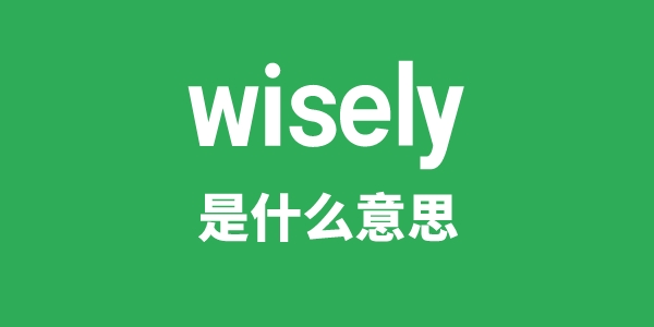 wisely是甚么意义