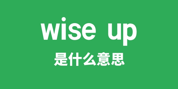 wise up是甚么意义