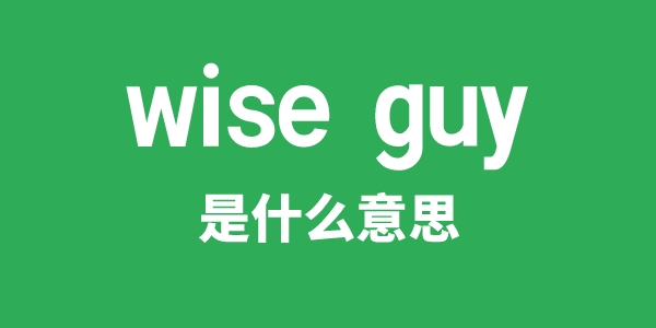 wise guy是甚么意义