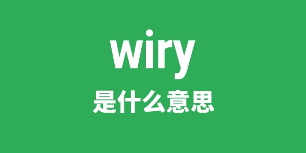 wiry是甚么意义