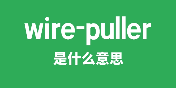 wire-puller是甚么意义