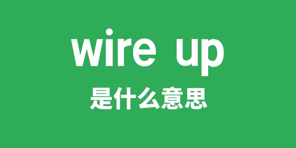 wire up是甚么意义