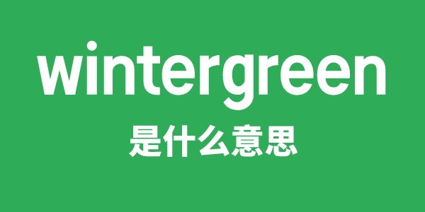 wintergreen是甚么意义