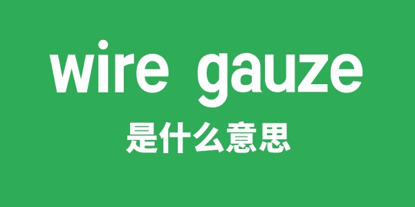wire gauze是甚么意义