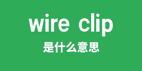 wire clip是甚么意义