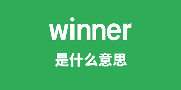 winner是甚么意义