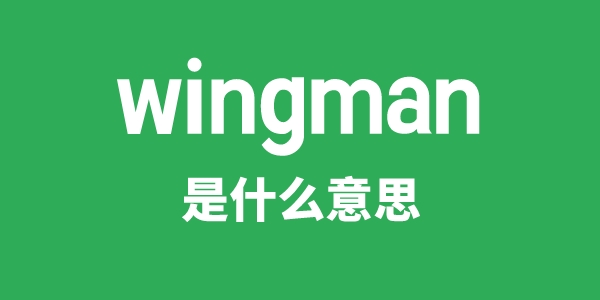 wingman是甚么意义