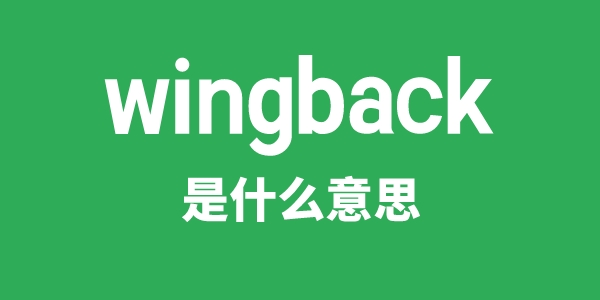 wingback是甚么意义