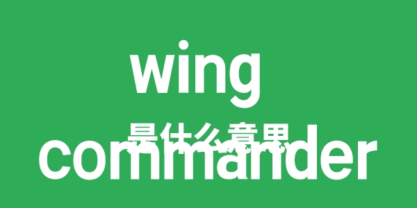 wing commander是甚么意义