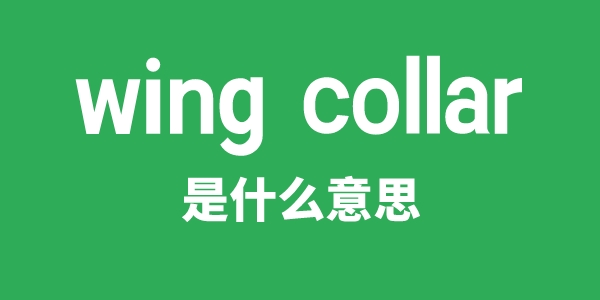 wing chair是甚么意义