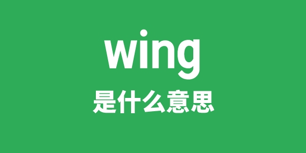 wing是甚么意义
