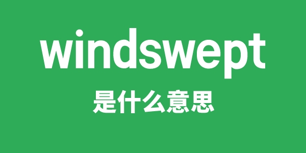 windswept是甚么意义