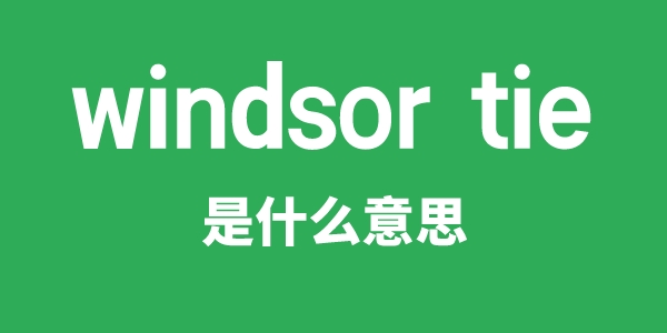 windsor tie是甚么意义