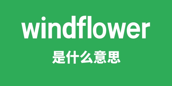 windflower是甚么意义