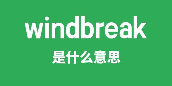 windbreak是甚么意义