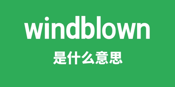 windblown是甚么意义