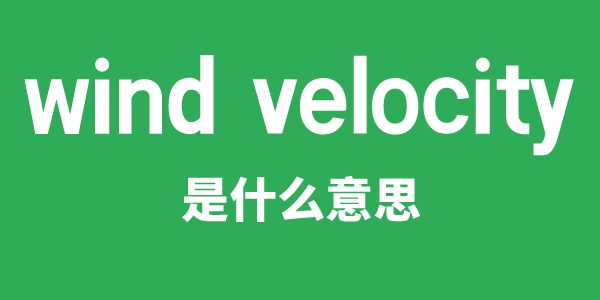 wind velocity是甚么意义