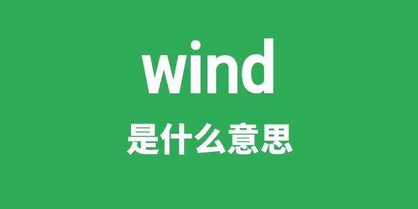 wind是甚么意义
