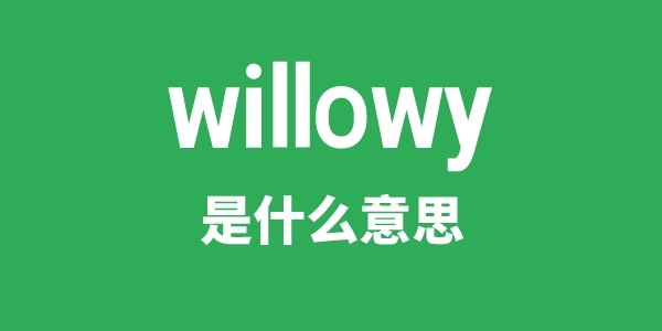 willowy是甚么意义