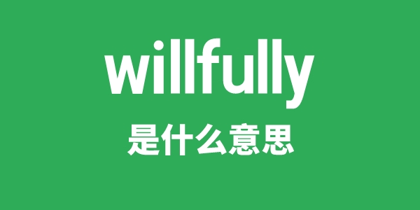 willfully是甚么意义
