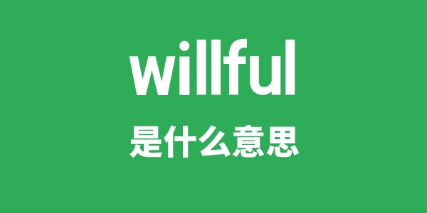 willful是甚么意义