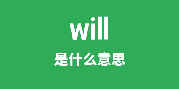 will是甚么意义