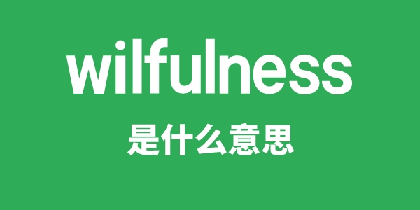 wilfulness是甚么意义