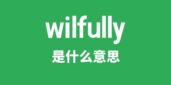 wilfully是甚么意义