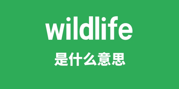 wildlife是甚么意义