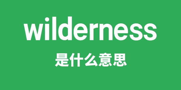 wilderness是甚么意义