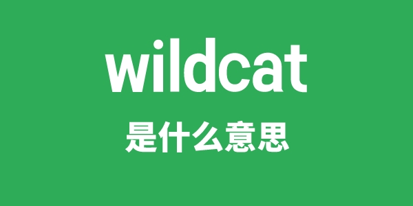 wildcat是甚么意义
