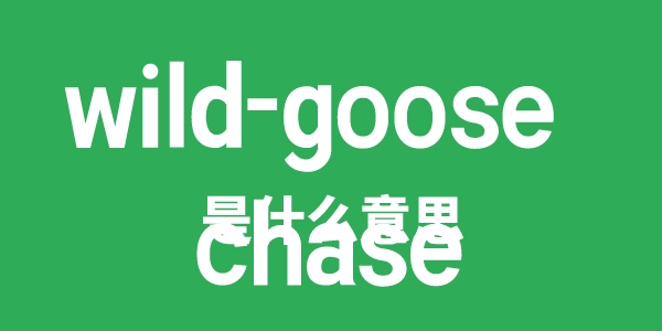 wild-goose chase是甚么意义