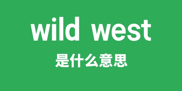 wild west是甚么意义