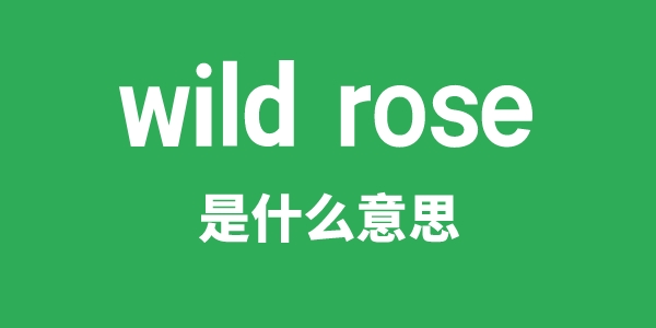 wild rose是甚么意义