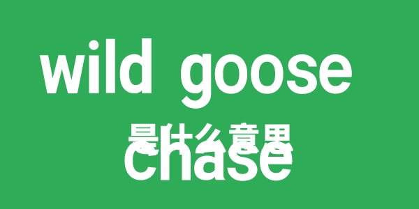wild goose chase是甚么意义