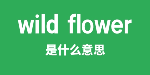 wild flower是甚么意义