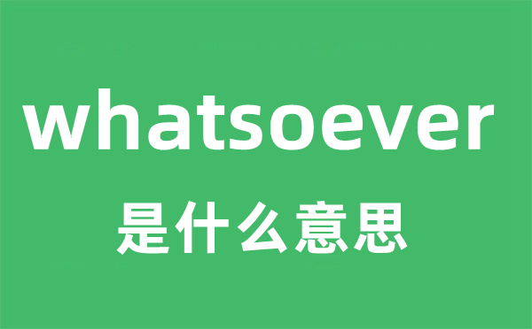 whatsoever是甚么意义