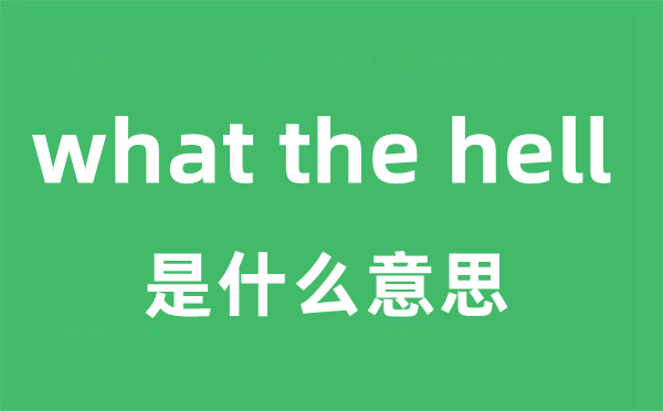 what the hell是甚么意义