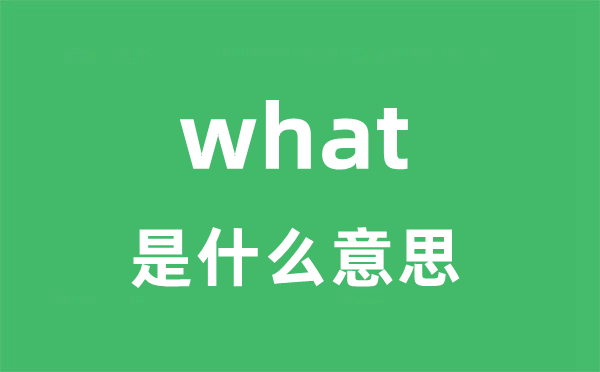 what是甚么意义
