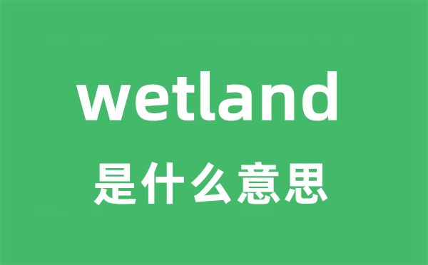 wetland是甚么意义