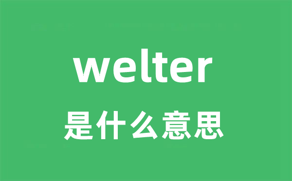 welter是甚么意义