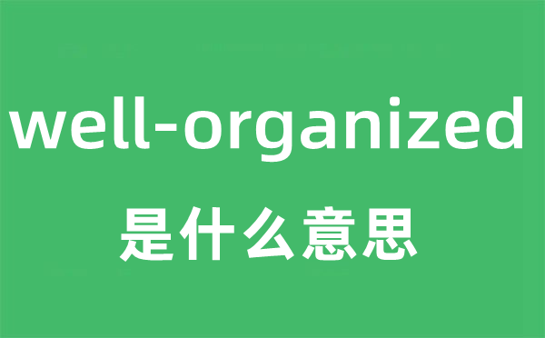 well-organized是甚么意义