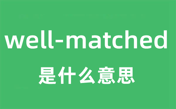 well-matched是甚么意义