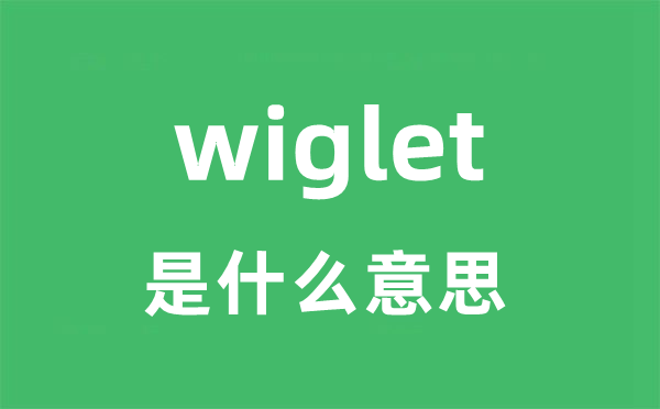 wiglet是甚么意义