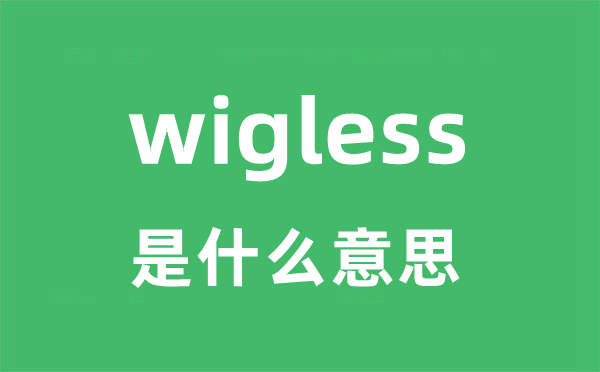 wigless是甚么意义