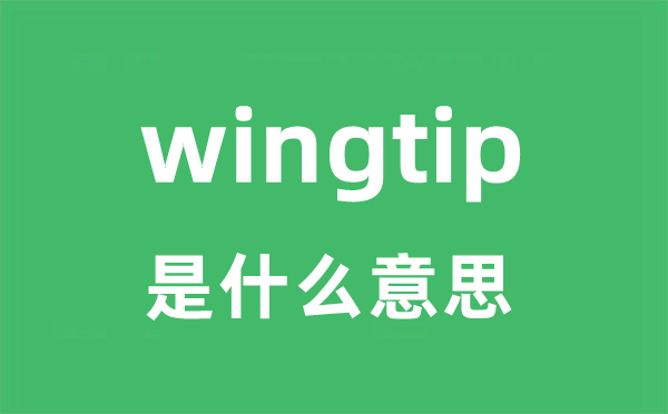 wingtip是甚么意义