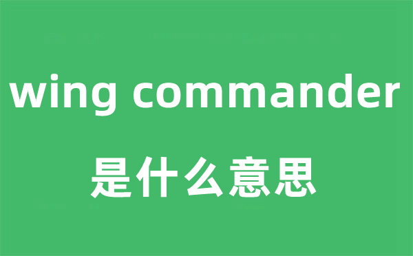 wing commander是甚么意义