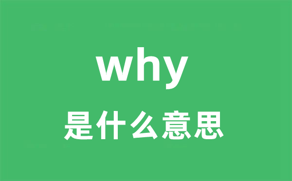 why是甚么意义