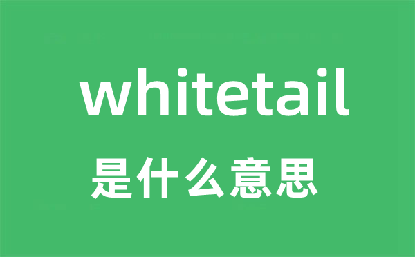 whitetail是甚么意义