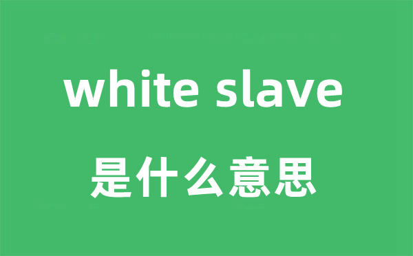 white slave是甚么意义